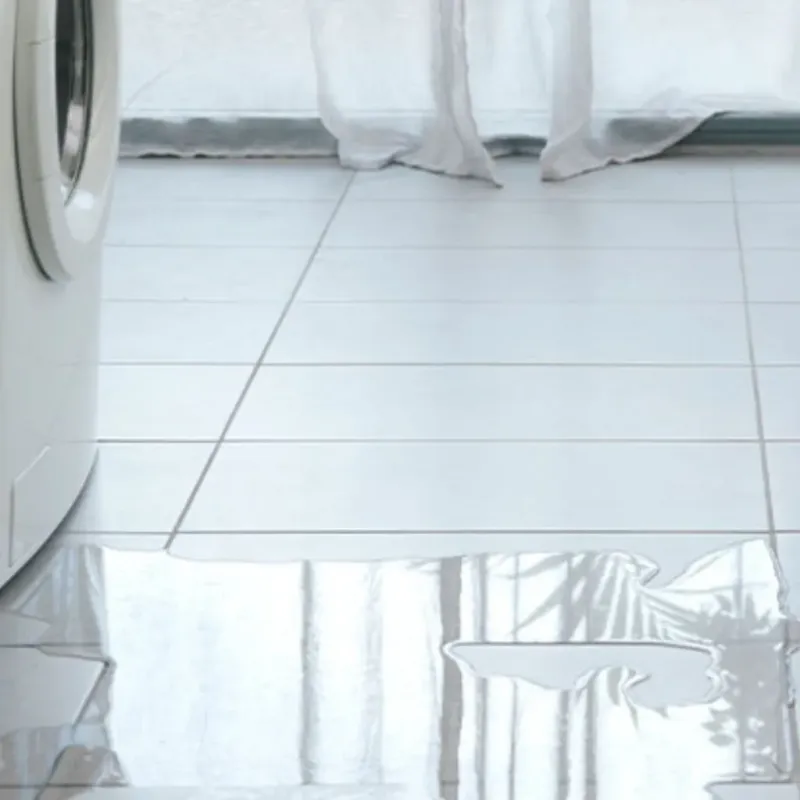 Appliance Leak Cleanup in Divernon, IL