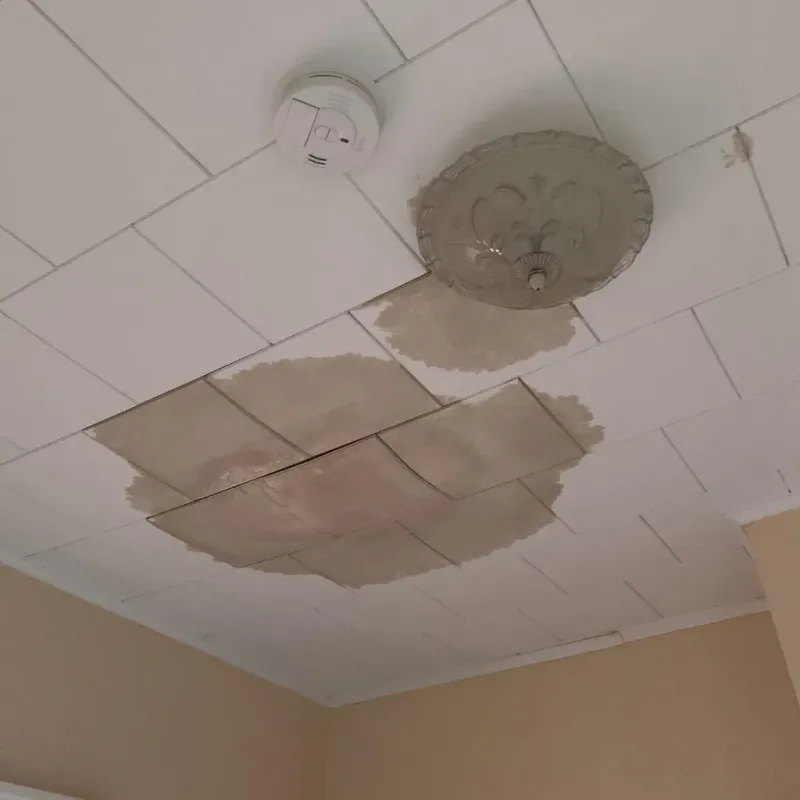 Ceiling Water Damage Repair in Divernon, IL