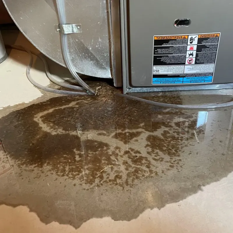 Pipe Burst and Leak Restoration in Divernon, IL